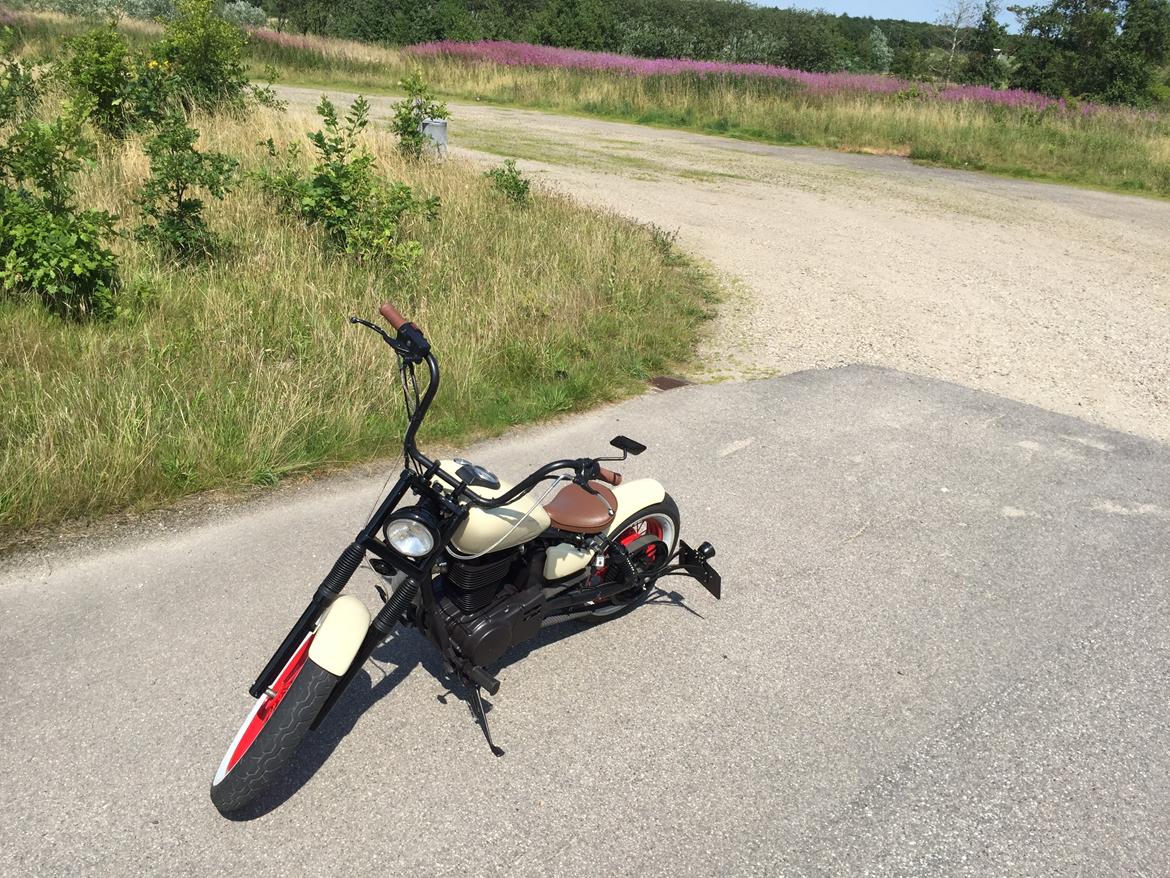 Suzuki LS 650 Savage billede 12