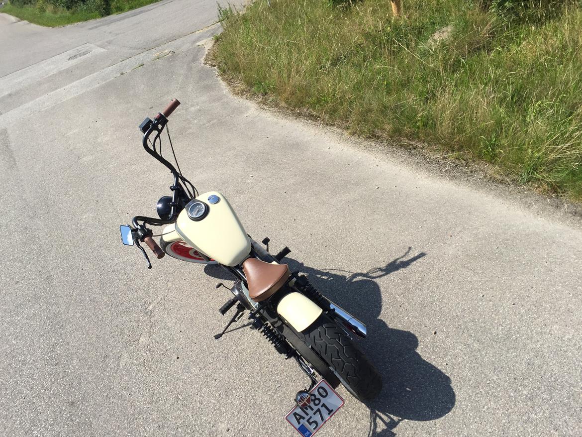 Suzuki LS 650 Savage billede 8