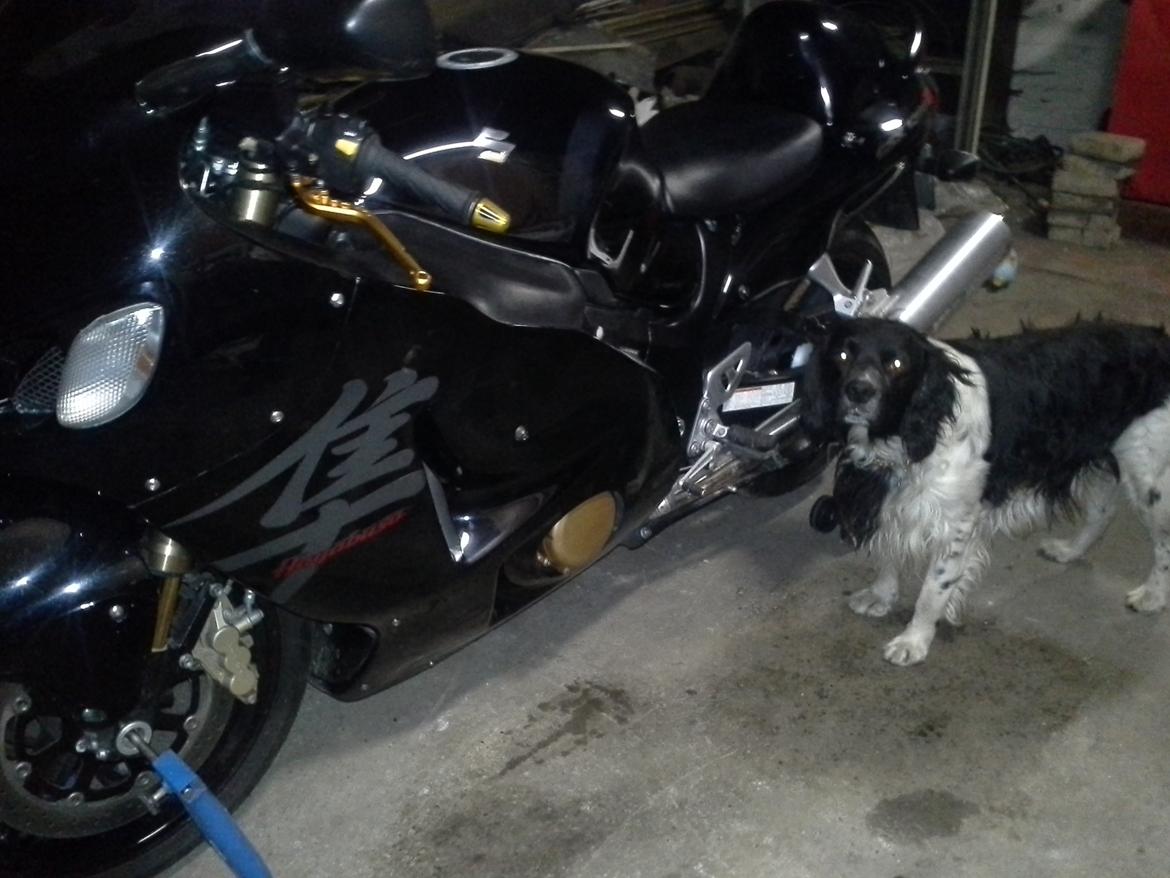 Suzuki Hayabusa billede 7