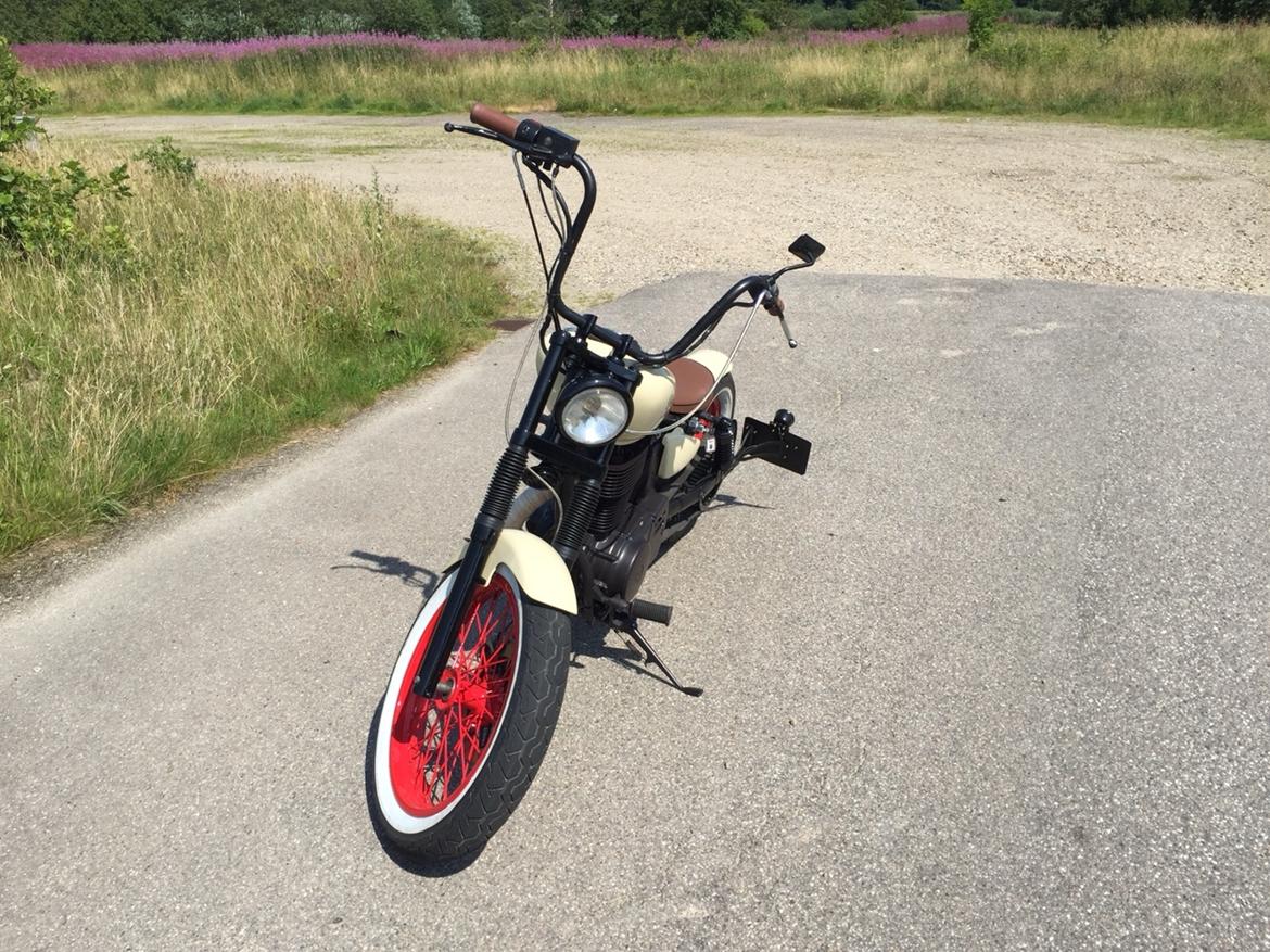 Suzuki LS 650 Savage billede 13