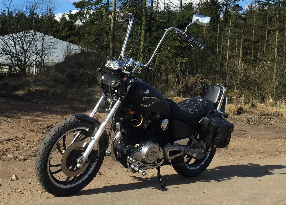 Yamaha XV750SE billede 17