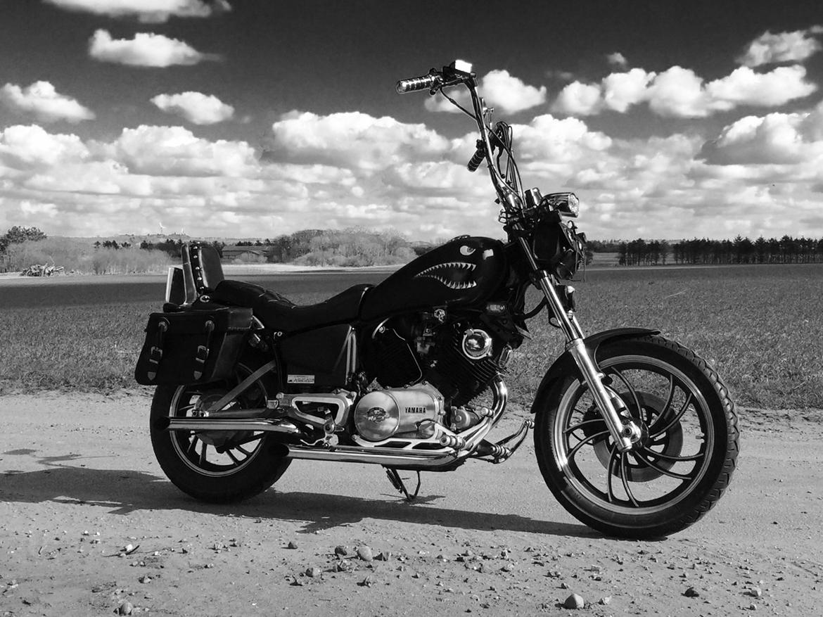 Yamaha XV750SE billede 19