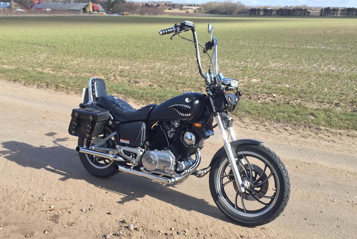 Yamaha XV750SE - Nu med apehanger billede 15