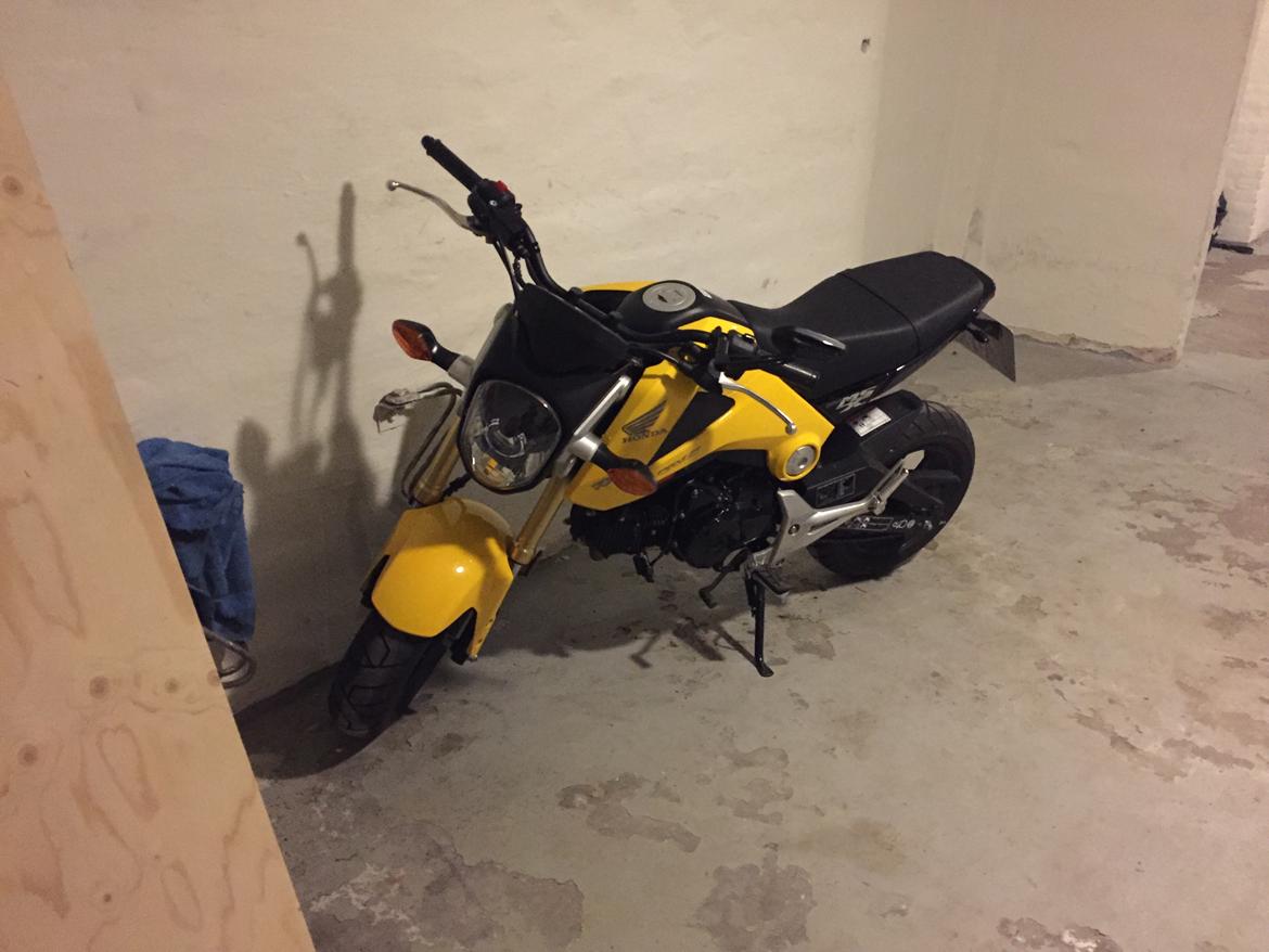 Honda MSX (GROM) motard billede 9