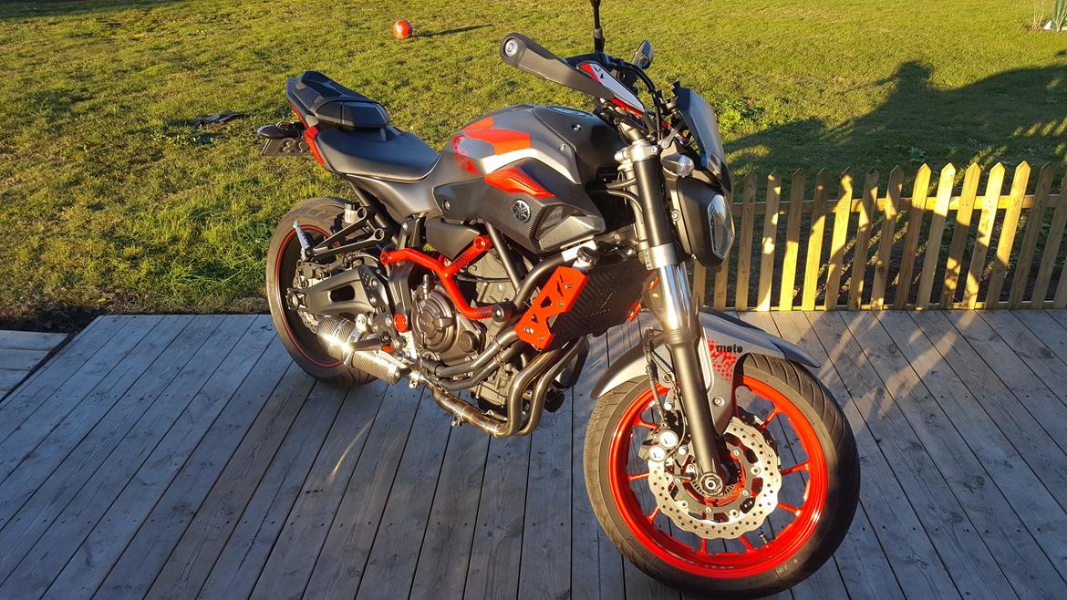 Yamaha MT-07 Moto Cage / ABS billede 8