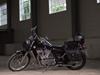 Suzuki Intruder VS800 [Tidl. motorcykel]