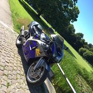 Suzuki Gsxr 600 SRAD