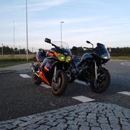 Yamaha FZR600R Genesis (Fizzer)