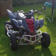 Yamaha Raptor 350