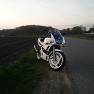 Yamaha FZR 600