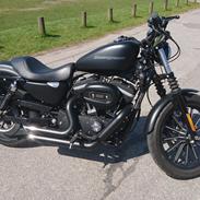 Harley Davidson Sportster Iron 