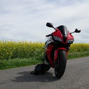 Honda CBR 600 RR