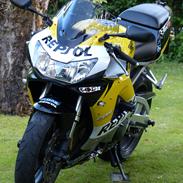 Honda CBR900RR FireBlade (929 RR1 SC44)