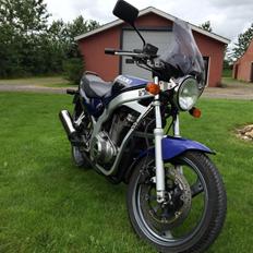 Suzuki GS500E [SOLGT]
