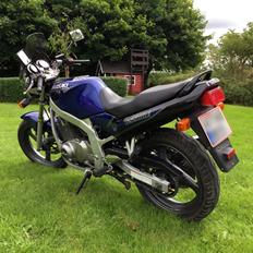 Suzuki GS500E [SOLGT]