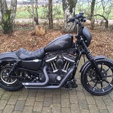 Harley Davidson Sportster Xl883n Iron