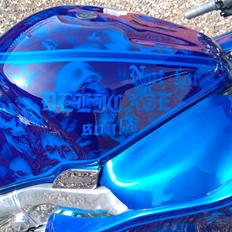 Suzuki hayabusa turbo (big blue bear)