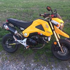 Honda MSX (GROM) motard