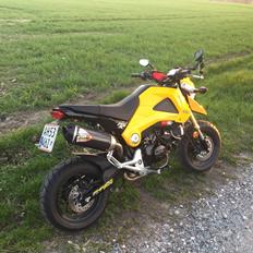 Honda MSX (GROM) motard