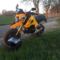 Honda MSX (GROM) motard