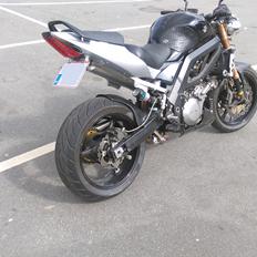 Suzuki SV 1000