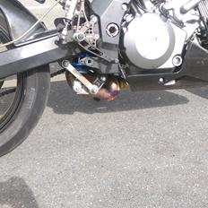 Suzuki SV 1000