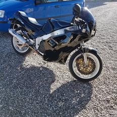 Yamaha FZR 1000