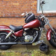 Suzuki vz 800 Marauder