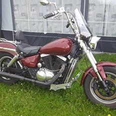 Suzuki vz 800 Marauder