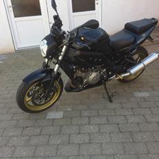 Suzuki SV1000S