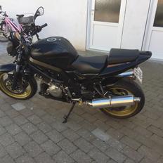 Suzuki SV1000S