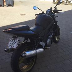 Suzuki SV1000S