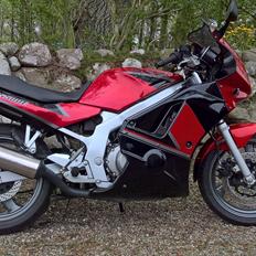 Suzuki GS 500E