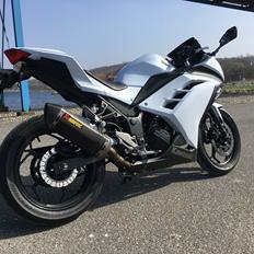 Kawasaki Ninja 300 R