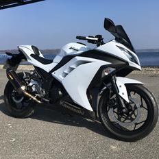 Kawasaki Ninja 300 R