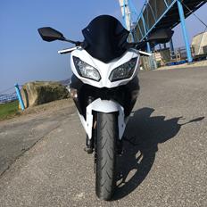 Kawasaki Ninja 300 R