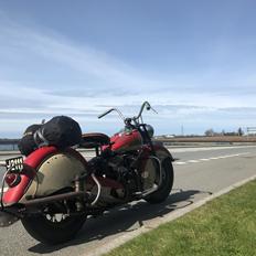 Indian Chief