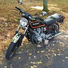 Suzuki GS 500 E