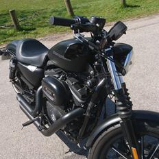 Harley Davidson Sportster Iron 