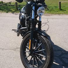 Harley Davidson Sportster Iron 