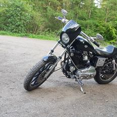 Harley Davidson Sportster 1000