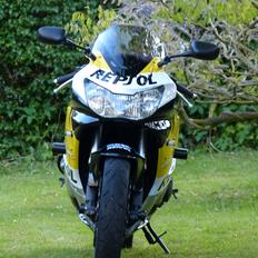 Honda CBR900RR FireBlade (929 RR1 SC44)