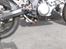 Suzuki SV 1000