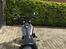 Harley Davidson Dyna Street Bob 
