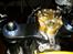Honda Fireblade 954