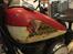 Indian Chief