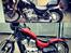 Suzuki Vs 600 GL