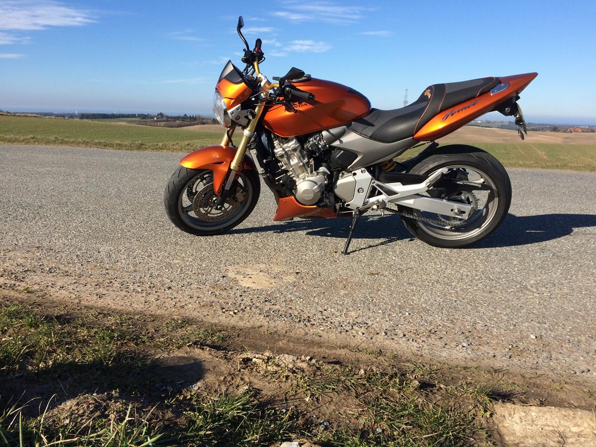 Honda CB600F Hornet  billede 15