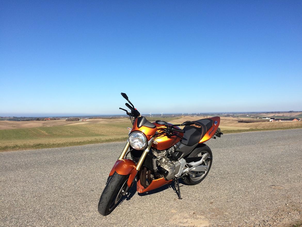 Honda CB600F Hornet  billede 8