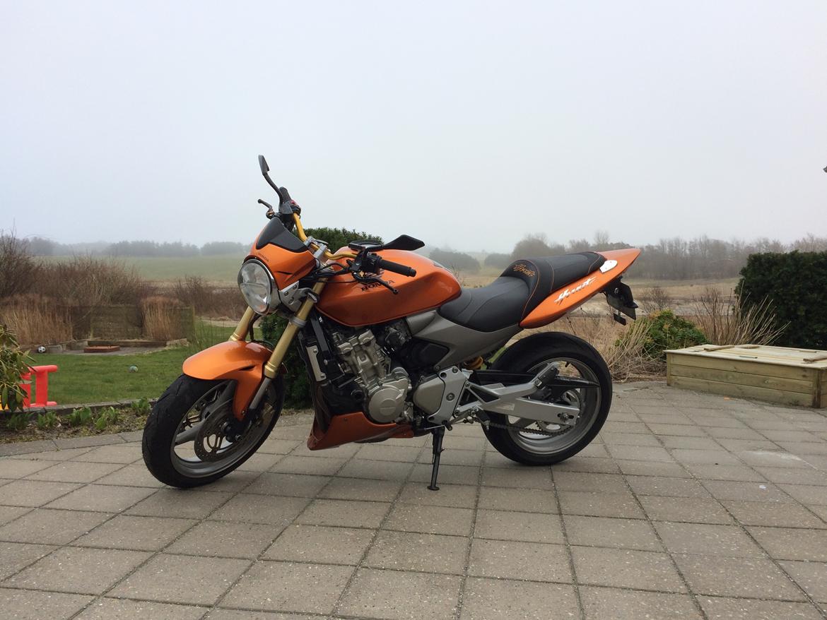 Honda CB600F Hornet  billede 2